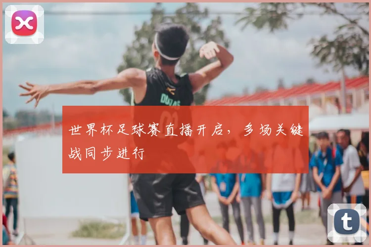 世界杯足球赛直播开启,多场关键战同步进行