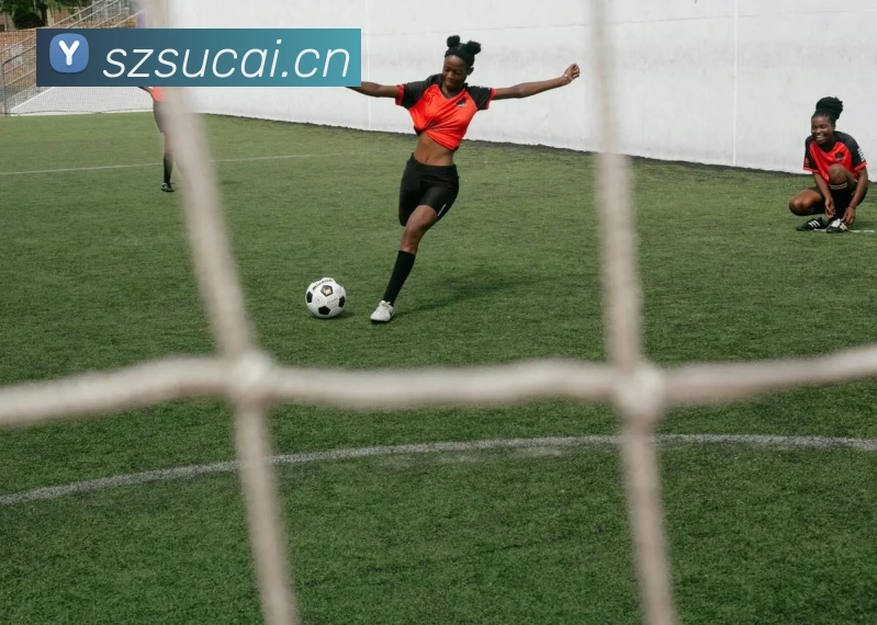 多媒体互动体验